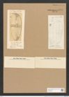 Surirella febigerii Lend. (de-Toni-Nr.: Genus 53, Species 2293) Zeichnungen Sammlung Grunow Nr. 4741 (NHMW-BOT-W0372848)
